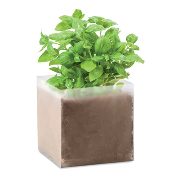 BASIL - Bazsalikom ültetőszett - Bézs