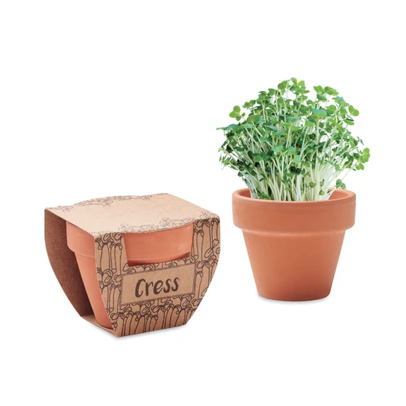 CRESS POT - Terrakotta ültető, zsázsa - Fa