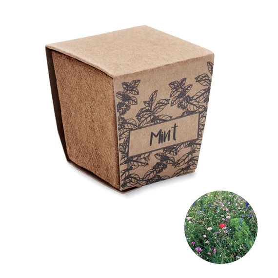 MINT KIT - Menta ültetőkészlet - Bézs
