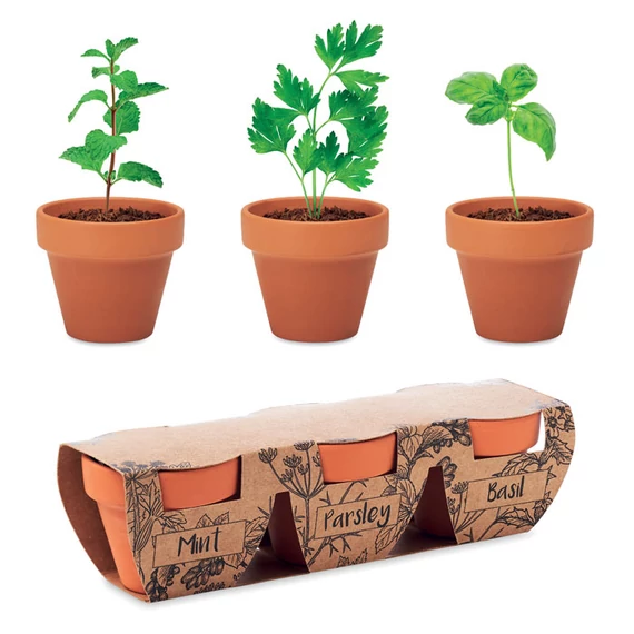 FLOWERPOT - 3 r. terrakotta ültető szett - Fa