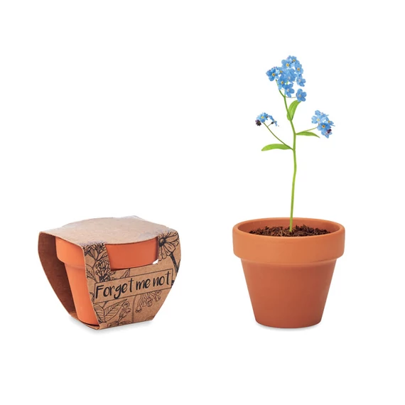 FORGET ME NOT - Terrakotta ültető, nefelejcs - Fa