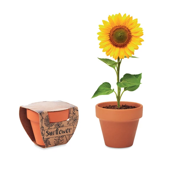 SUNFLOWER - Terrakotta ültető, napraforgó - Fa
