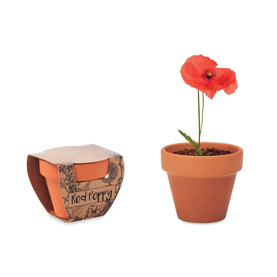 RED POPPY - Terrakotta ültető, pipacs - Fa