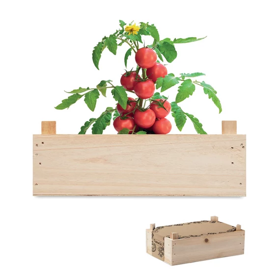 TOMATO - Paradicsomkészlet faládában - Fa