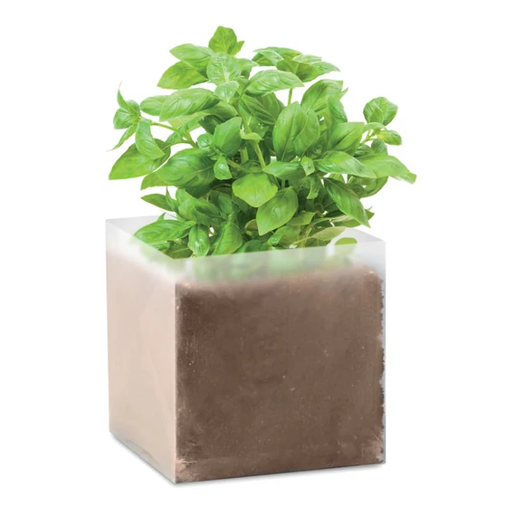 BASIL - Bazsalikom ültetőszett - Bézs