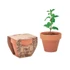 Kép 1/4 - MINT POT - Terrakotta ültető, menta - Fa