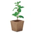Kép 3/6 - item_picture_3