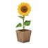 Kép 3/6 - item_picture_3