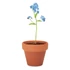 Kép 5/5 - FORGET ME NOT - Terrakotta ültető, nefelejcs - Fa