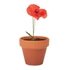 Kép 4/4 - RED POPPY - Terrakotta ültető, pipacs - Fa