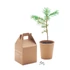 Kép 3/6 - item_picture_box