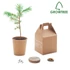 Kép 1/6 - GROWTREE™ - Fenyő ültető készlet - Bézs