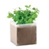 Kép 1/4 - MINT - Menta ültetőszett - Bézs