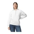 Kép 1/4 - Softstyle® Midweight Fleece Adult Hoodie