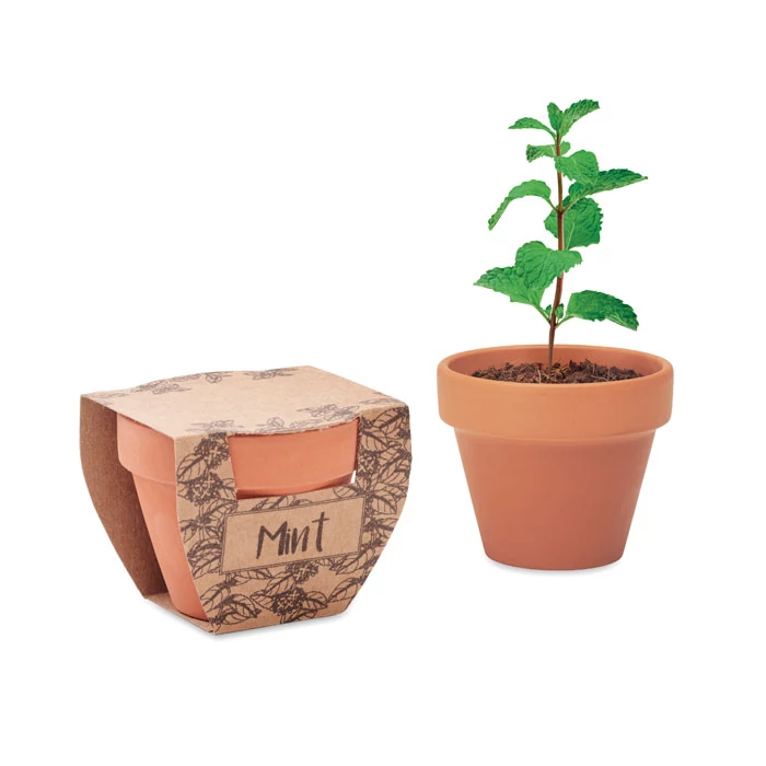 MINT POT - Terrakotta ültető, menta - Fa