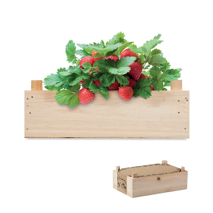 STRAWBERRY - Epertermesztő készlet, faláda - Fa
