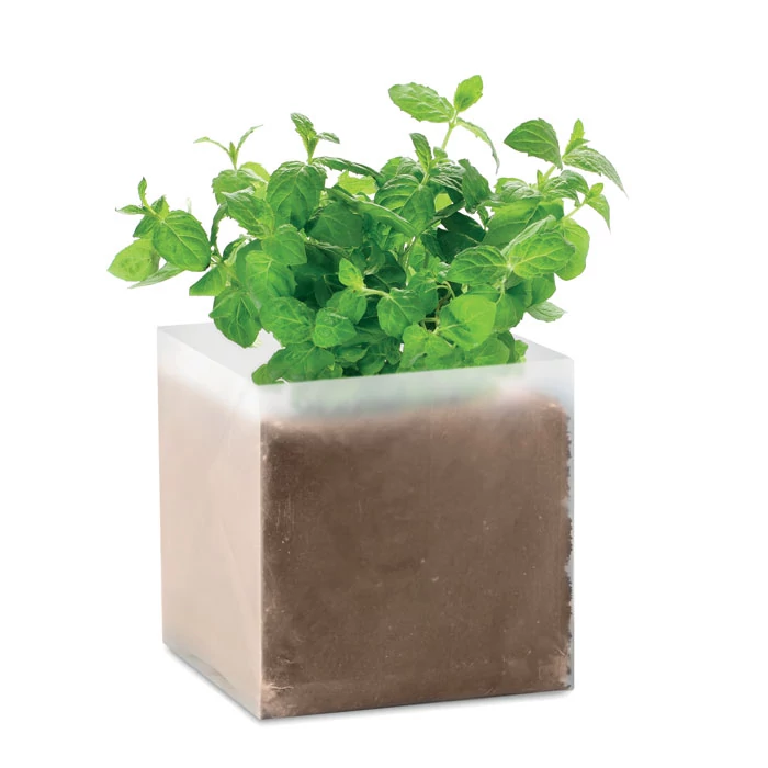 MINT - Menta ültetőszett - Bézs